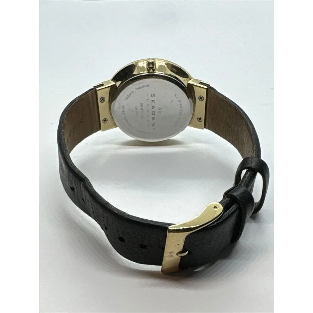 Skagen SKW2124 Women's Black Leather Strap Analog Dial Quartz Wrist Watch JNA925